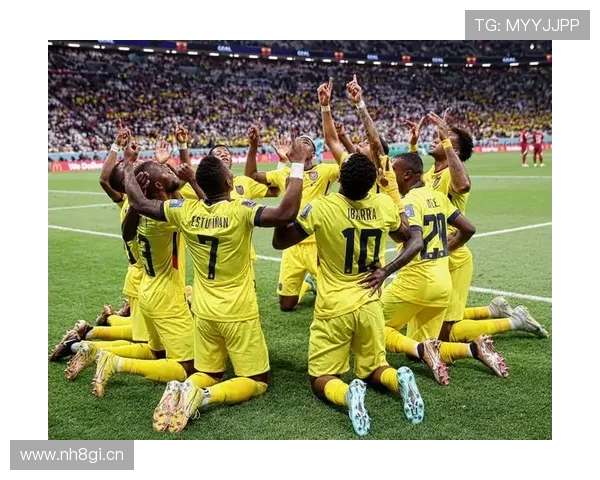 卡塔尔赛事停摆美欧杯生变再起